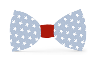 Liberty 4th of July Summer Dog Bow Tie: Small