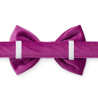 Plum Velvet Dog Bow Tie: Large