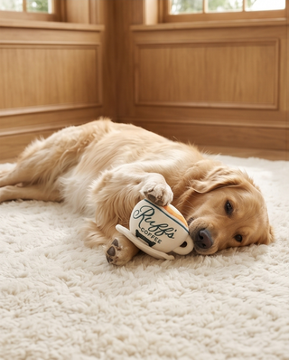 Ruff's Coffee Cup Dog Toy