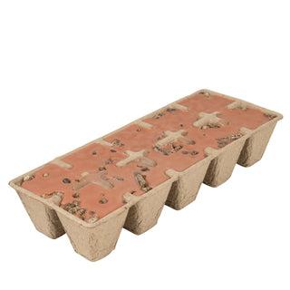 Firestarters: Whiskey & Tobacco