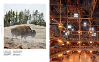 Lodge: An Indoorsy Tour of America's National Parks