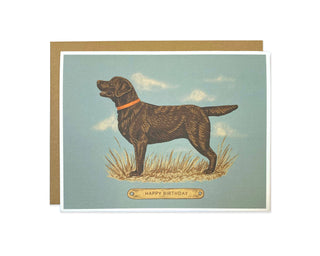 Happy Birthday Chocolate Lab Greeting Card
