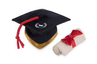 Grad Cap with Scroll Dog Toy