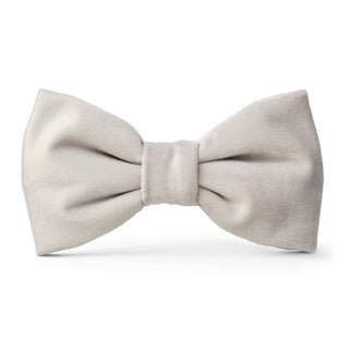 Fog Gray Velvet Dog Bow Tie - Standard