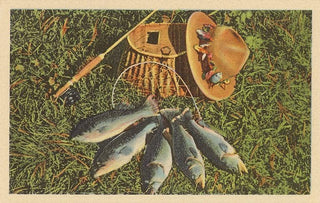Trout by Creel Note Card