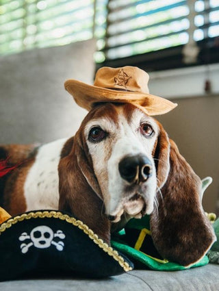 Sheriff Hat Dog Toy