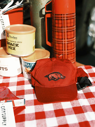 Arkansas Razorbacks Pet Baseball Hat