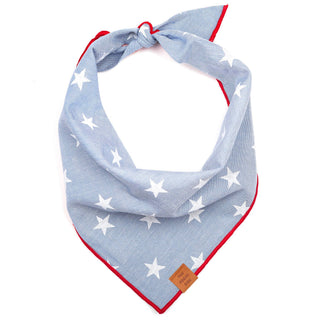 The Foggy Dog - Liberty Dog Bandana