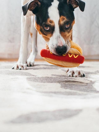 Hot Dog Dog Toy - Mini