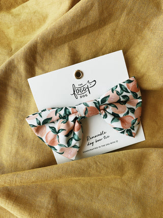 Peaches and Cream Dog Bow Tie: Small