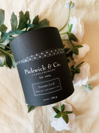 Pickwick & Co: Tomato Leaf Candle