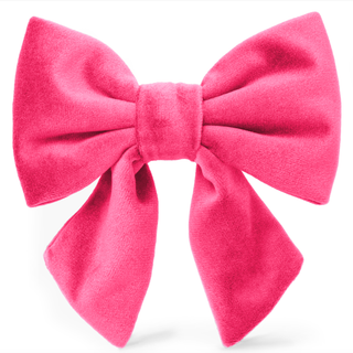 Hot Pink Velvet Lady Dog Bow: Small