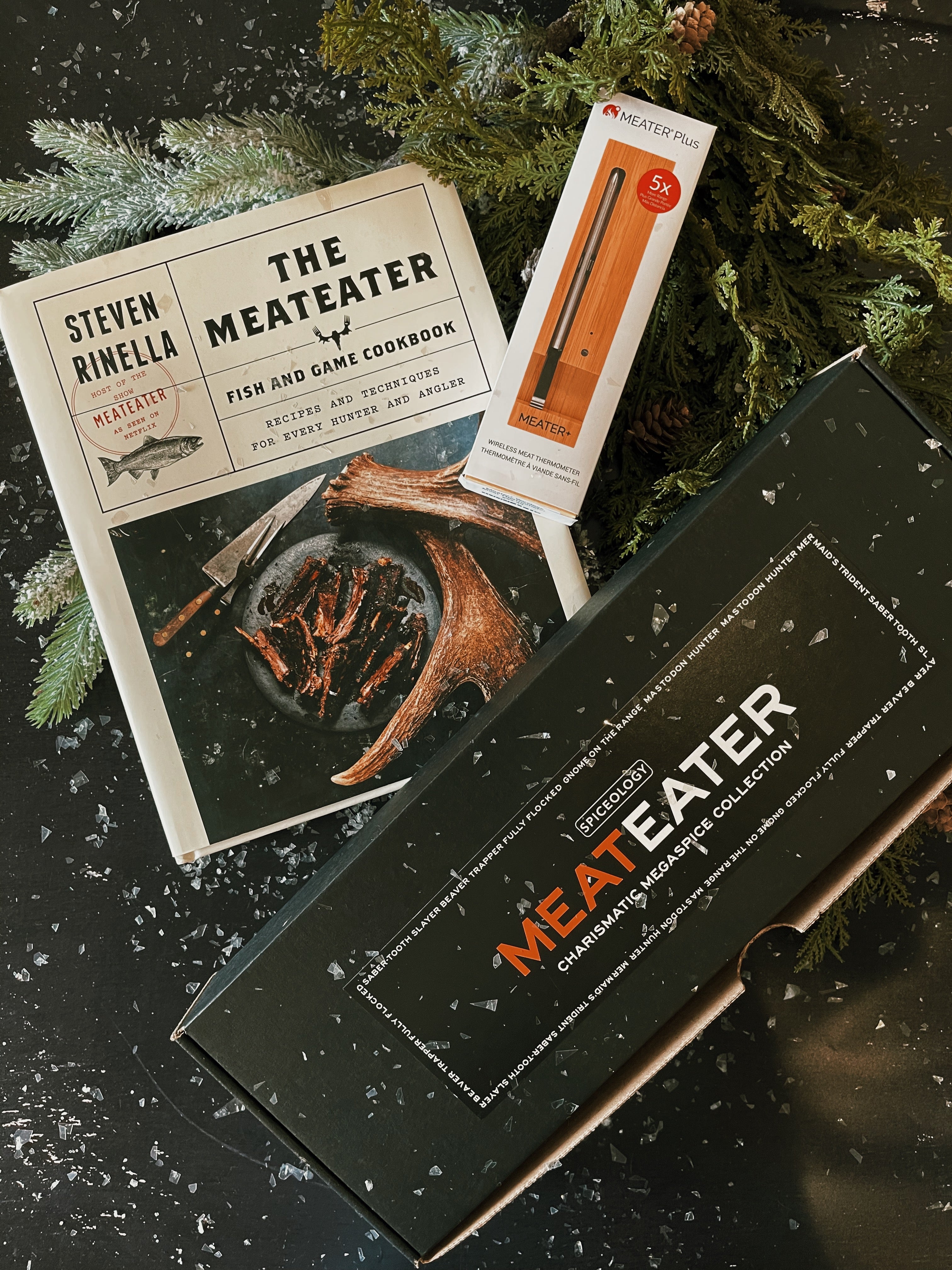 Project Updates for MEATER: The First Truly Wireless Smart Meat